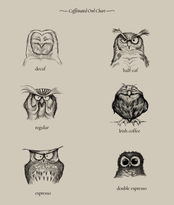 Owl Chart