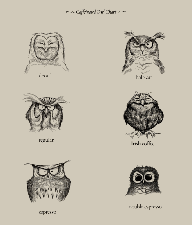 Coffee Owl Chart