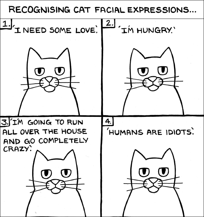 Funny Cartoons That All Cat Owners Will Understand