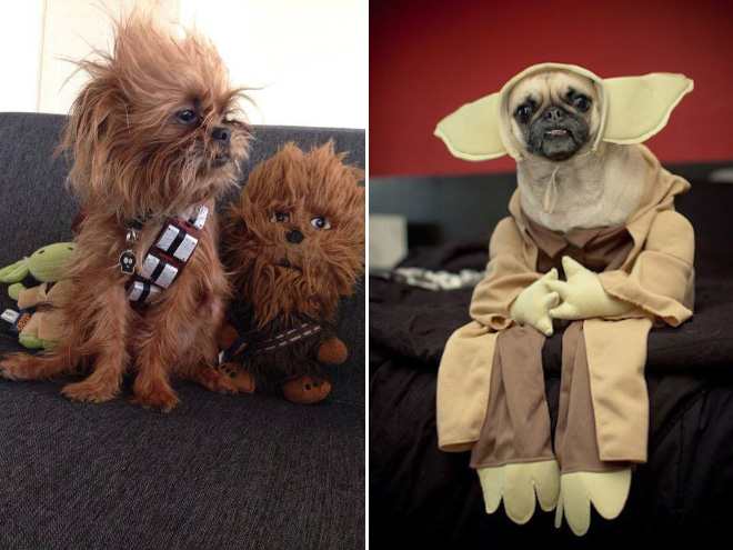 89 Terrifyingly Pawsome Halloween Costumes For Dogs