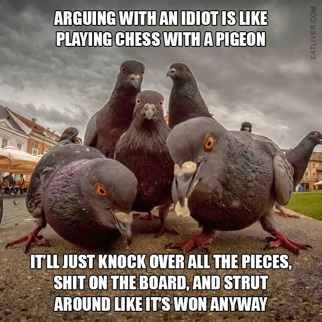 Arguing with an idiot is like playing chess with a pigeon. It'll just knock over all the pieces, shit on the board, and strut around like it's won anyway.