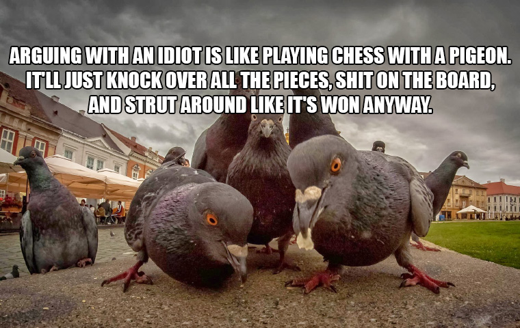 pigeons.jpg