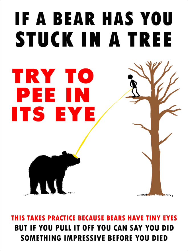 Try to pee in its eye. This takes practice because bears have tiny eyes but if you pull it off you can say you did something impressive before you died.