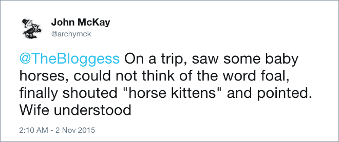 On a trip, saw some baby horses, could not think of the word foal, finally shouted "horse kittens" and pointed. Wife understood