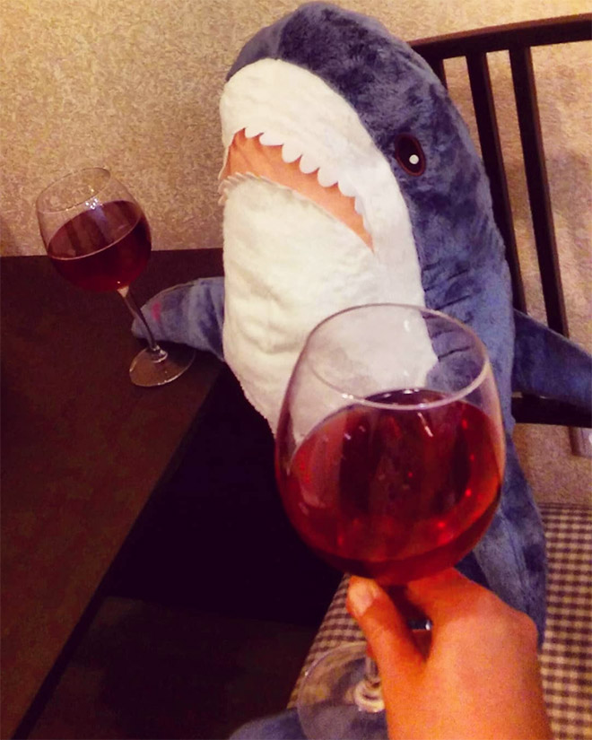 Romantic wine drinking with a shark.