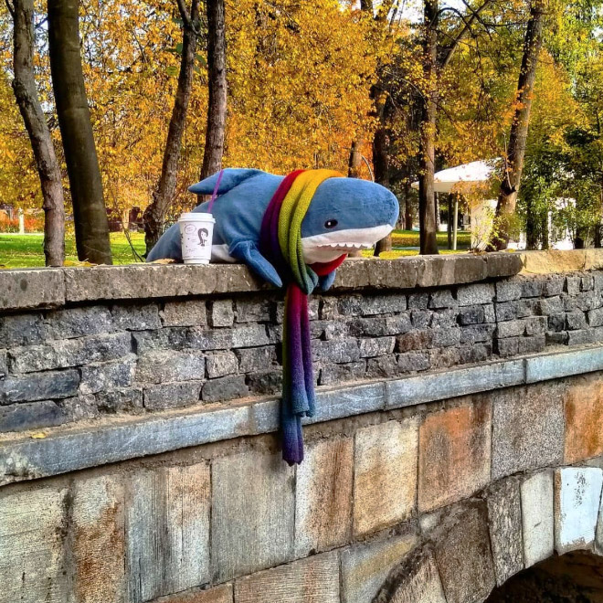 Shark standing on a bridge.