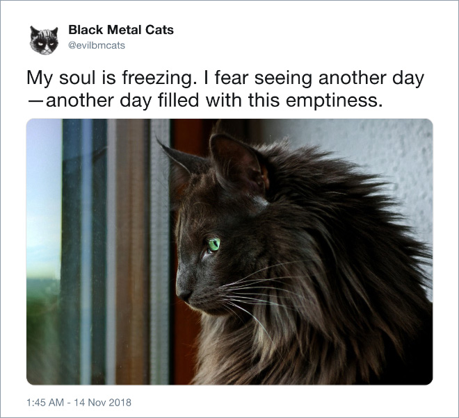 My soul is freezing...