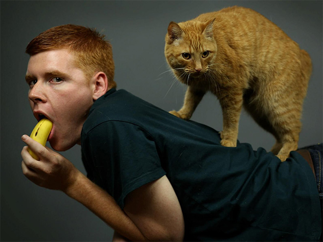 Weird photo with a banana and cat.
