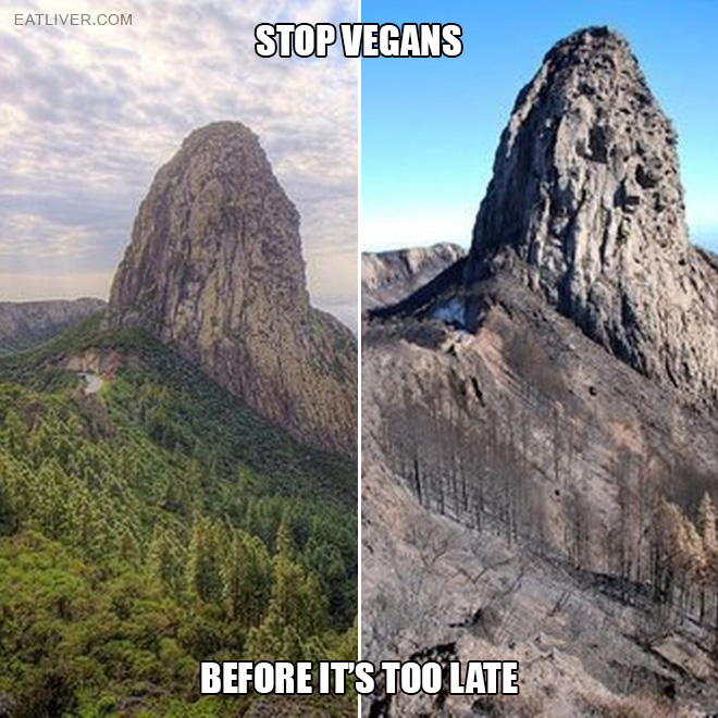 Stop vegans before it's too late!