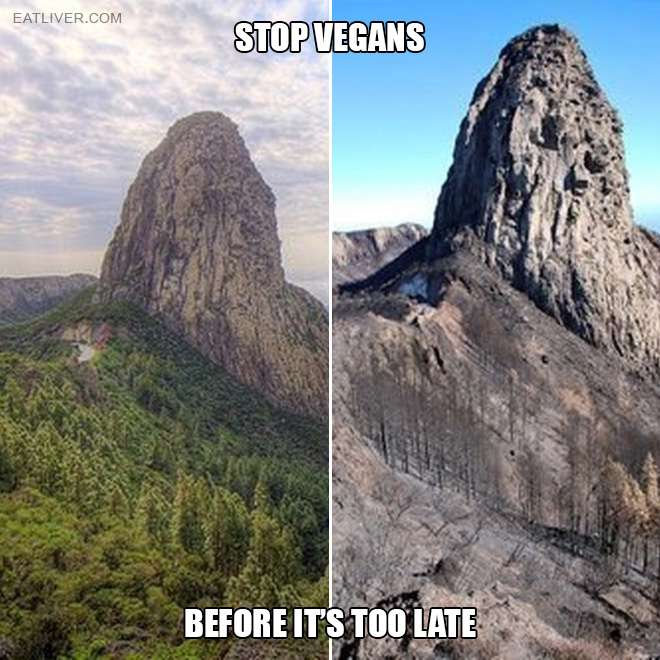 Stop vegans before it's too late!
