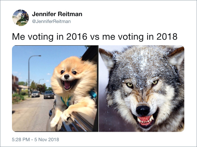 Me voting: 2016 vs. 2018.