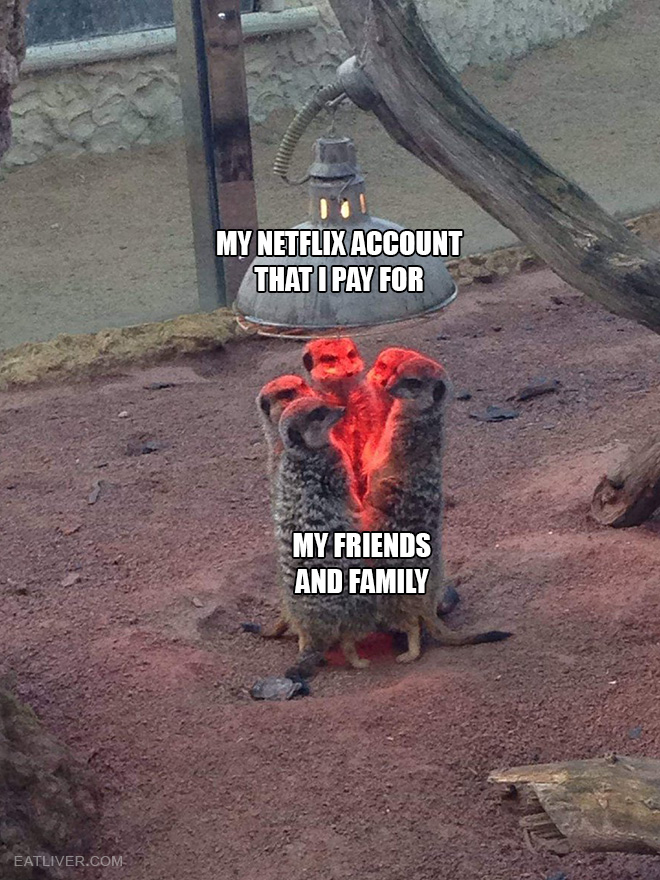 My Netflix account vs. my friends and family.
