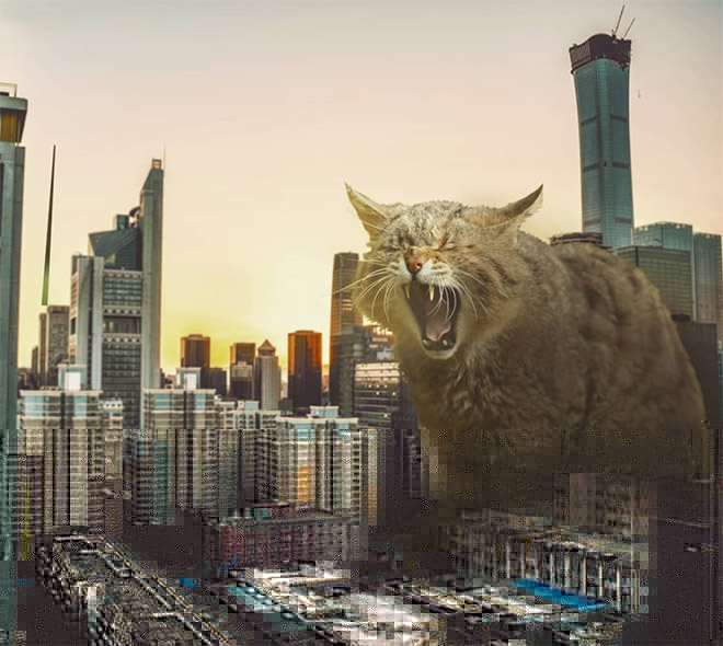 If giant cats invaded the city...