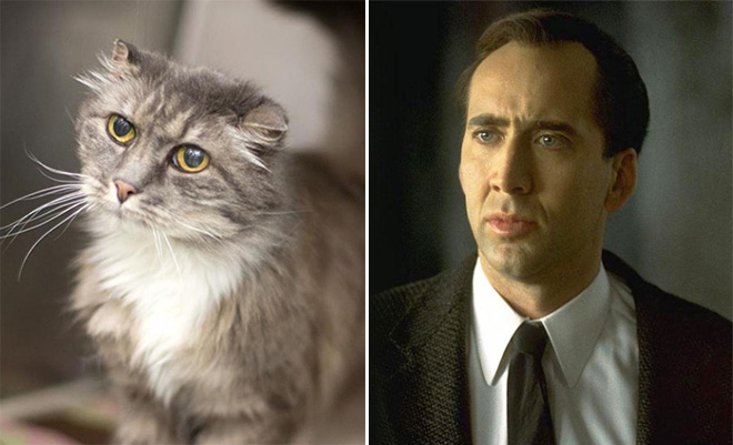 Nicolas Cage and his double.