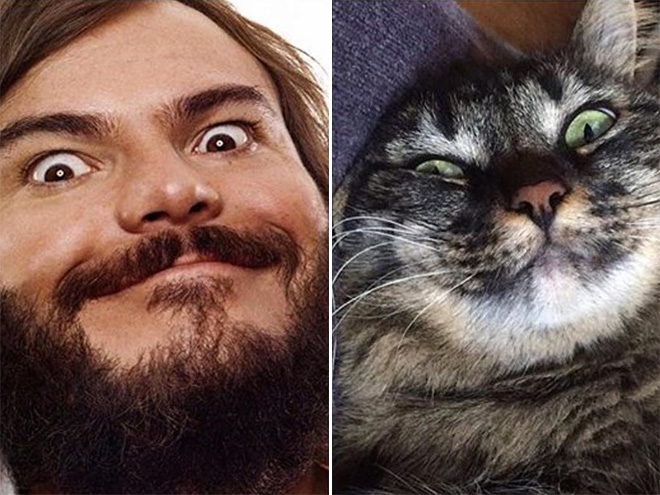Jack Black and his double.