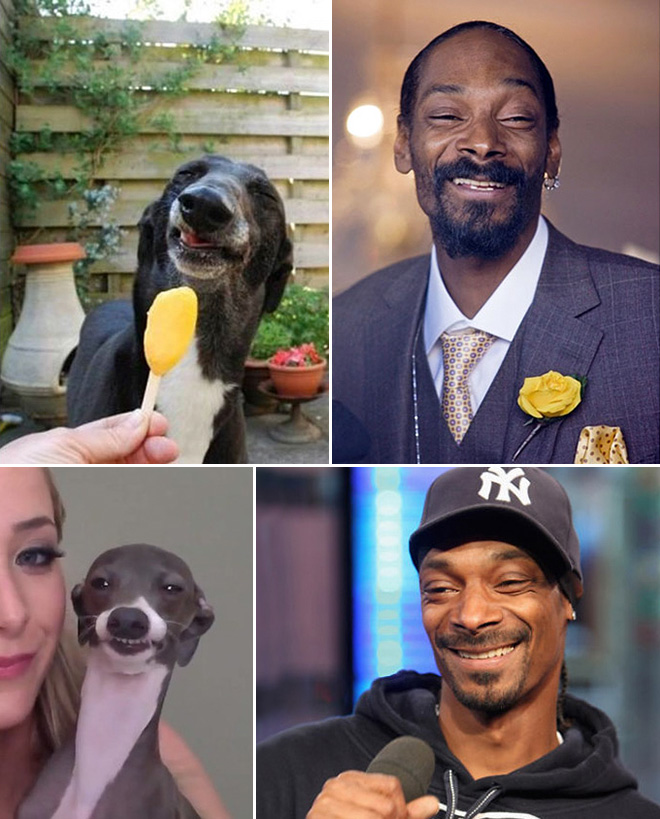 Snoop Dogg and his dog.