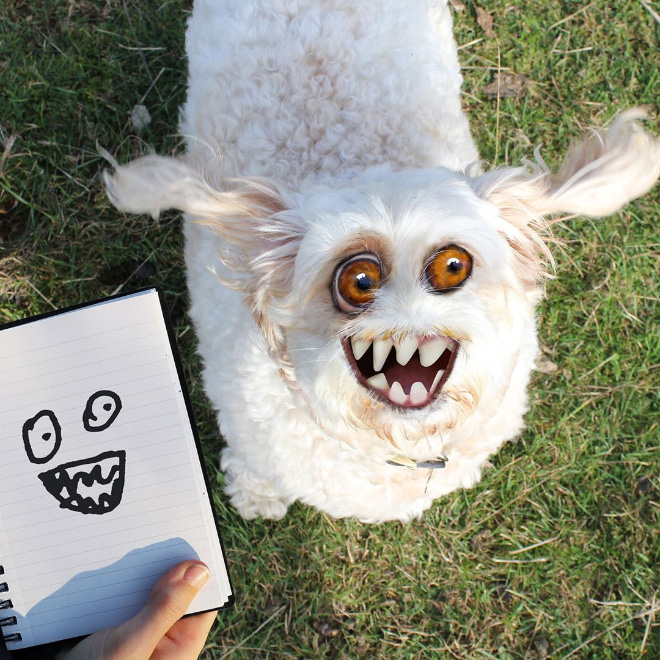 Dog doodle recreated as a real living thing.