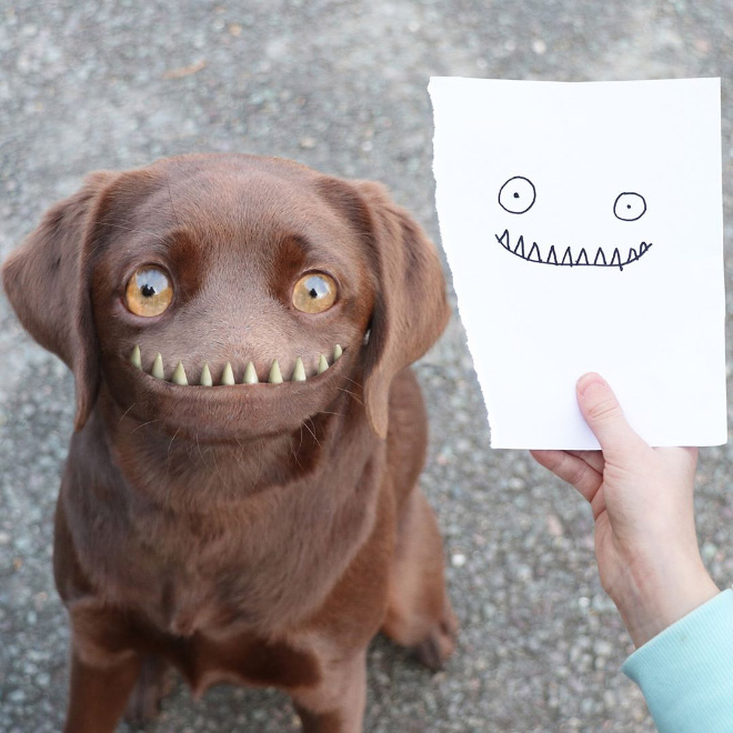 Dog doodle recreated as a real living thing.