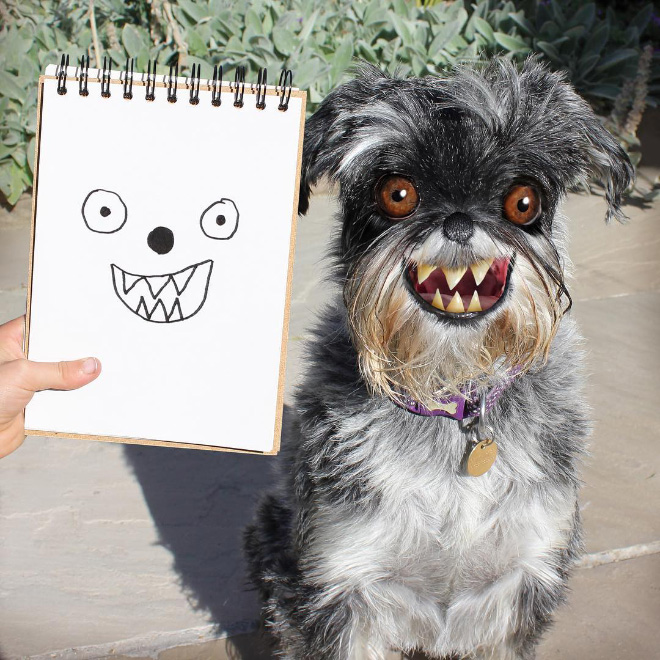 Dog doodle recreated as a real living thing.