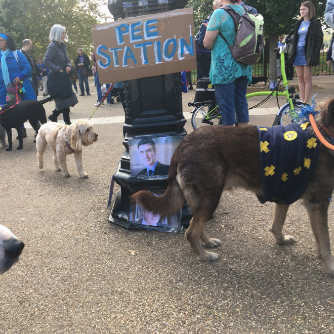 Brexit pee station.
