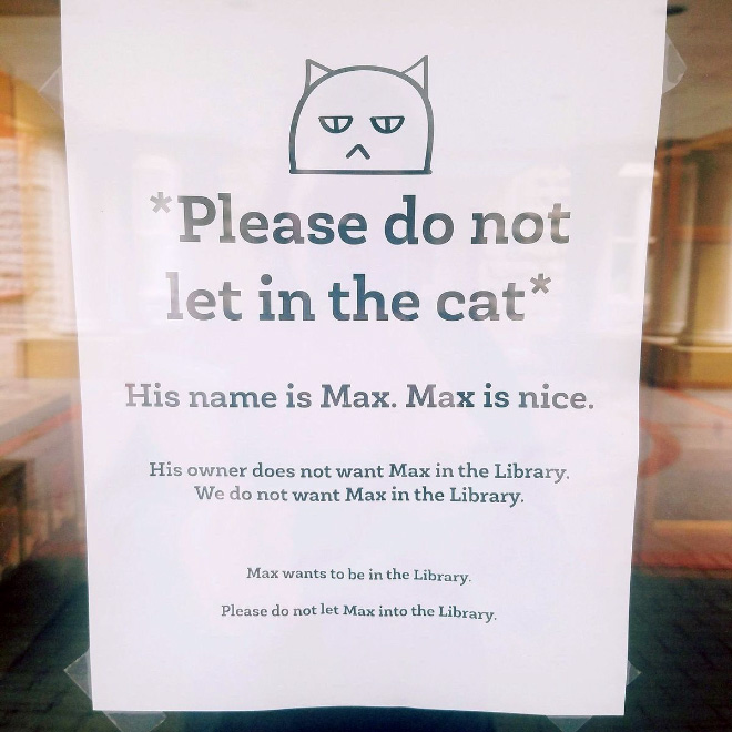 Cat vs. library.