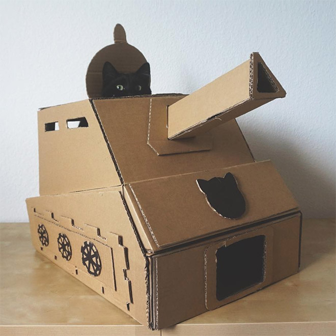 Cat in a cardboard tank.