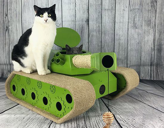 Cat in a cardboard tank.