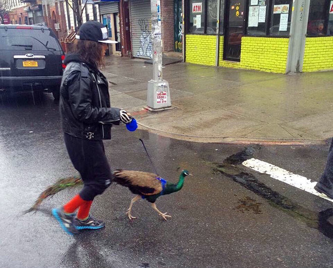 Hipster and her pet.