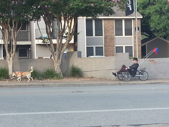 Hipster walking his dog.