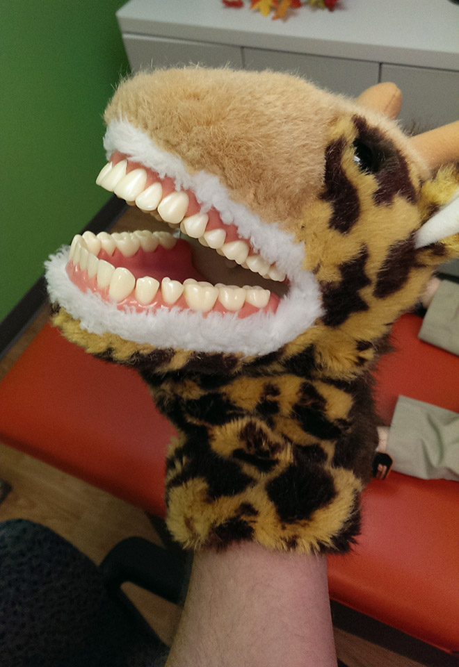 Horrifying educational dentist toy for kids.