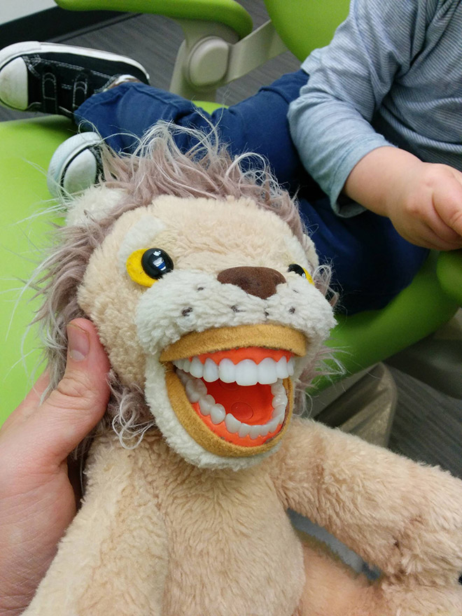 Horrifying educational dentist toy for kids.