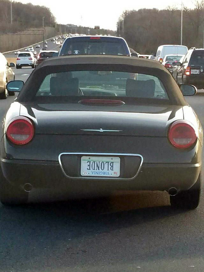 Brilliant licence plate.