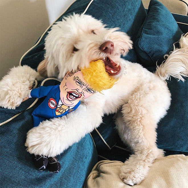 Dog attacking Donald Trump.