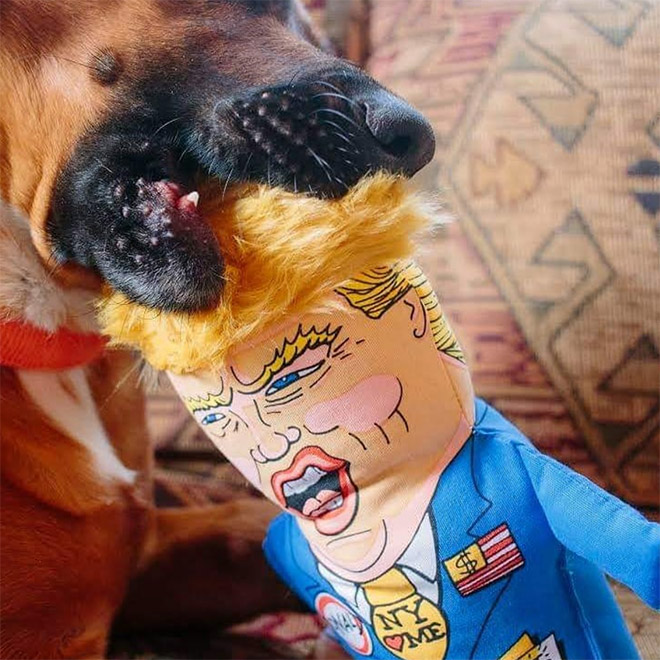 Dog attacking Donald Trump.