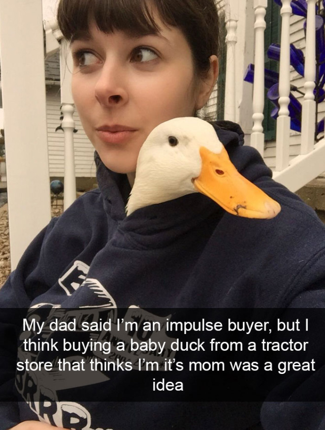 Hilarious bird snapchat.