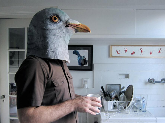 Realistic pigeon mask is the best thing ever made.