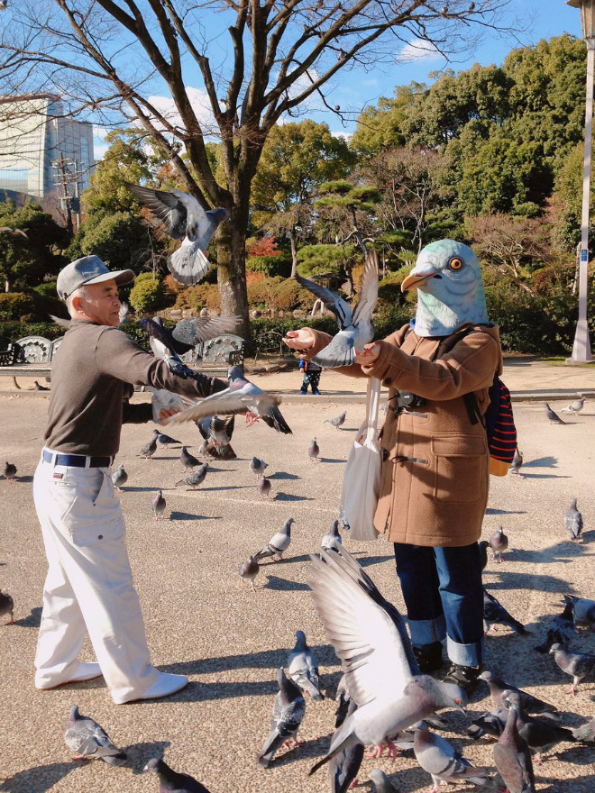 Realistic pigeon mask is the best thing ever made.