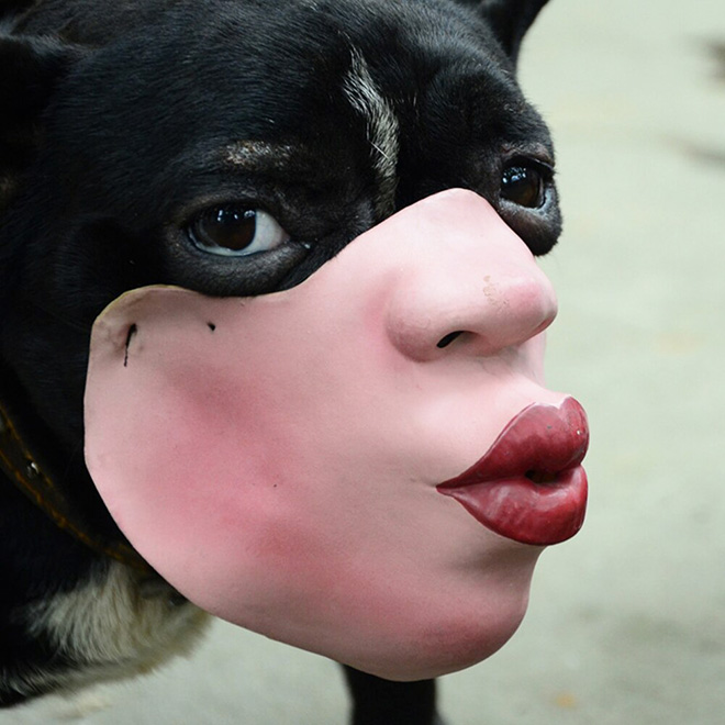 Dog muzzle for humans hot sale