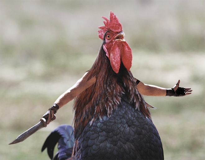 Birds look so much cooler with human arms!