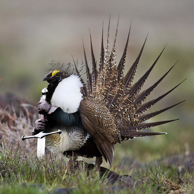 Birds look so much cooler with human arms!