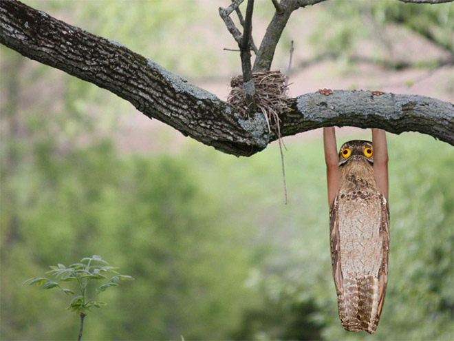 Birds look so much cooler with human arms!