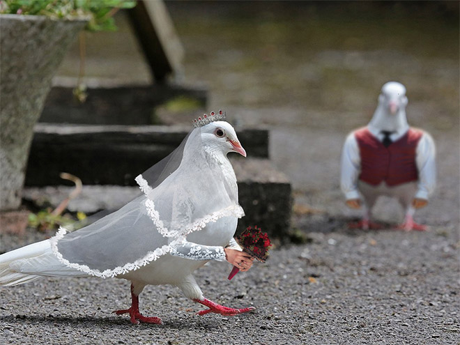 Birds look so much cooler with human arms!