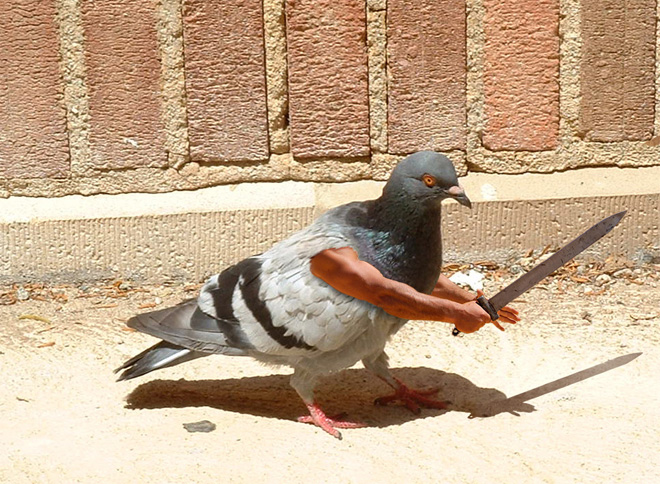 Birds look so much cooler with human arms!