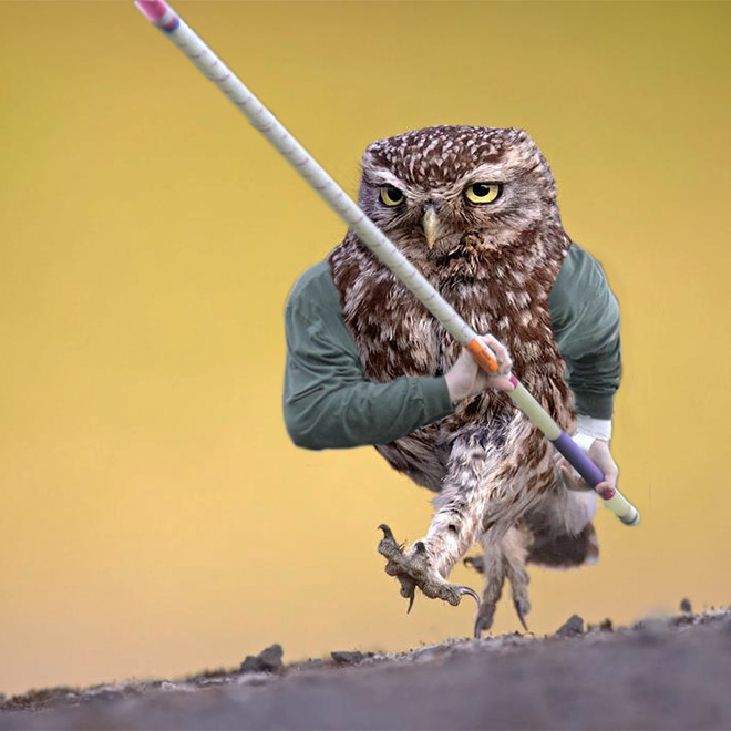 Birds look so much cooler with human arms!