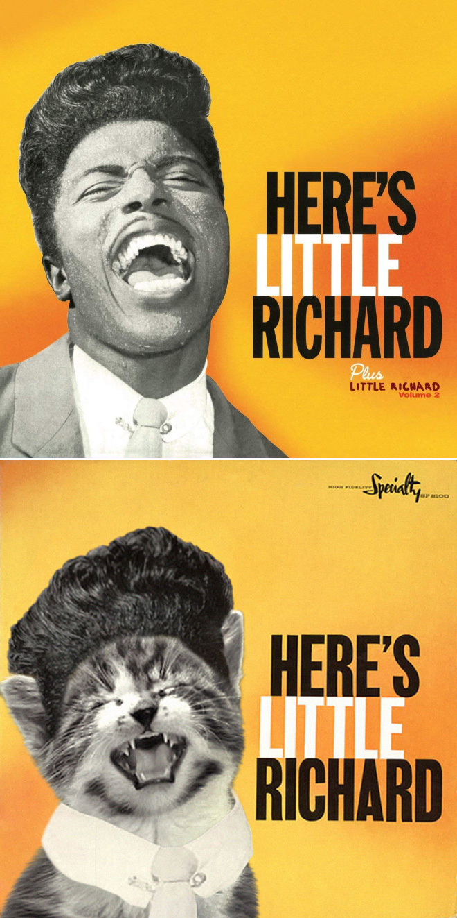 Iconic album cover improved with kittens.