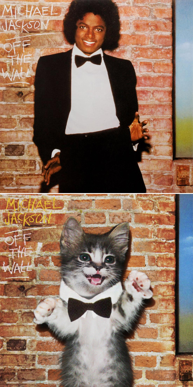 Iconic album cover improved with kittens.