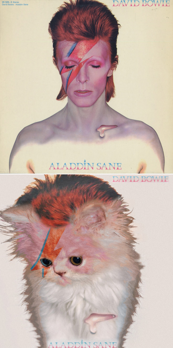 Iconic album cover improved with kittens.