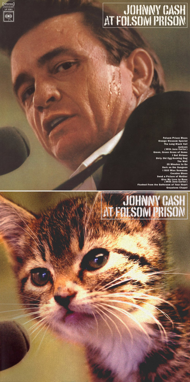 Iconic album cover improved with kittens.