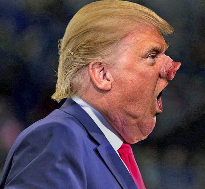 Trump's chin meets Photoshop.