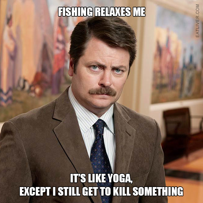 Brilliant Ron Swanson quote.